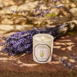 Bougie Lavande Carrière Frères