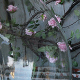 Grande dame jeanne transparente, ref5