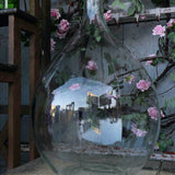 Grande dame jeanne transparente, ref5