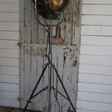 projecteur cinema MOLE RICHARDSON studio PINWOOD