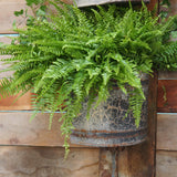 Ancien godet industriel grande longueur