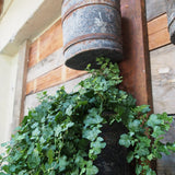 Ancien godet industriel grande longueur