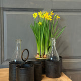 Ancienne bouteille de lait - Domaine de St-Sauveur