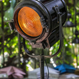 projecteur cinema hollywood Richardson 1950/60 pied cinema tripod