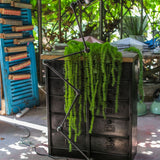 Jielde 5-arm polished graphite industrial workshop lamp