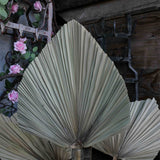 Dried palm leaf
