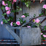 zinc watering can compression ref 4