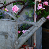zinc watering can compression ref 4