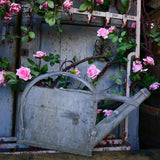 zinc watering can compression ref 4