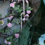 Grande dame jeanne xxl ref 10