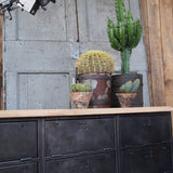 Industrial sideboard with 6 compartments, solid old oak, cast iron casters