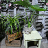 sellette, tabouret bois vert pale