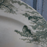 Ancien grand plat ovale decor d'oiseaux Sarreguemines modele Neige