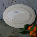 Ancien grand plat ovale decor d'oiseaux Sarreguemines modele Neige