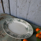 Ancien grand plat ovale decor d'oiseaux Sarreguemines modele Neige