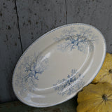 Antique large oval platter decorated with coral and seashells, Ironstone