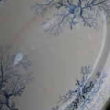 Antique large oval platter decorated with coral and seashells, Ironstone