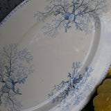 Antique large oval platter decorated with coral and seashells, Ironstone