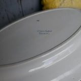 Antique large oval platter decorated with coral and seashells, Ironstone