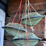 old sea nut trap, small Mediterranean seashell