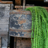 Old industrial bucket waterwheel