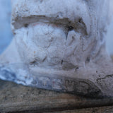 Buste en platre de Pasteur , medecine