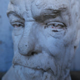 Buste en platre de Pasteur , medecine