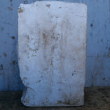 Buste en platre de Pasteur , medecine