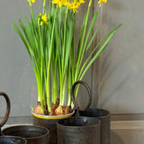 Ancien rangement d'atelier en métal - porte outils triple compartiment - déco industrielle