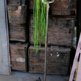 MOLE RICHARDSON cinema projector, PINWOOD studio, 1k