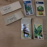 lot varié de 388 anciens sachets de graines