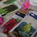 lot varié de 388 anciens sachets de graines