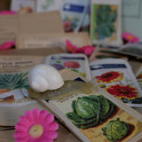 lot varié de 388 anciens sachets de graines