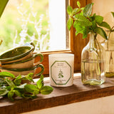 Bougie Menthe Verte  Carrière Frères