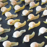 escargot jouet realiste stock vintage