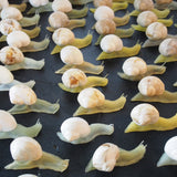 escargot jouet realiste stock vintage
