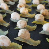 escargot jouet realiste stock vintage