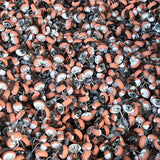 yeux de poupé ancien des usines GéGé lots de 200 piece